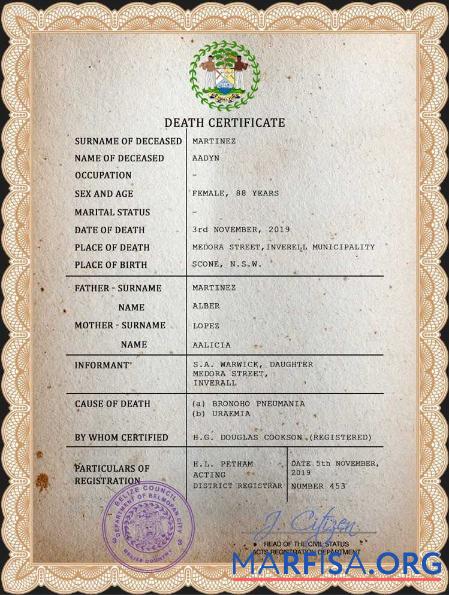 Printable Belize death certificate PSD template